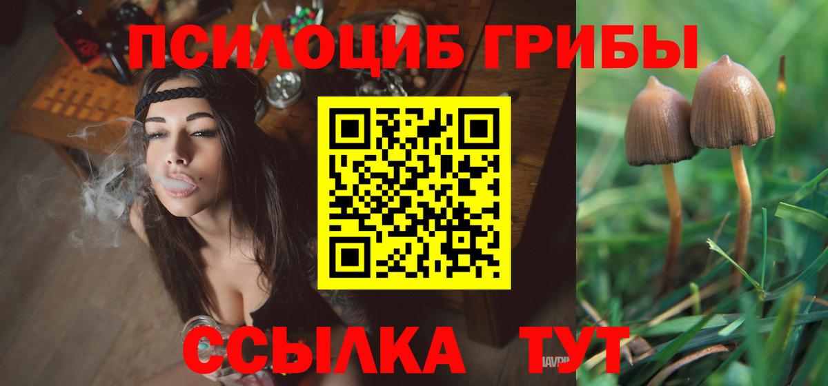 Галлюциногенные грибы мицелий  Вход с VPN  Россия 